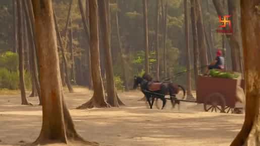 Chandragupta Maurya - Episode 9