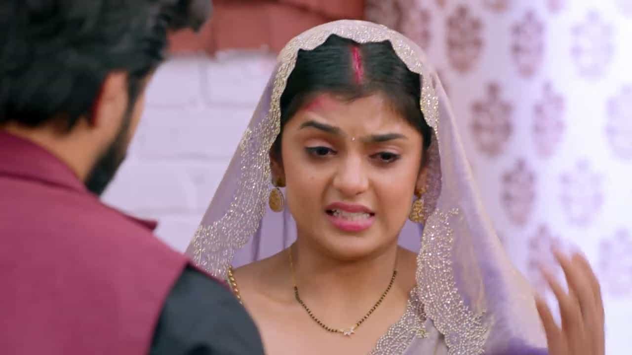 Jaane Anjaane Hum Mile - Episode 482
