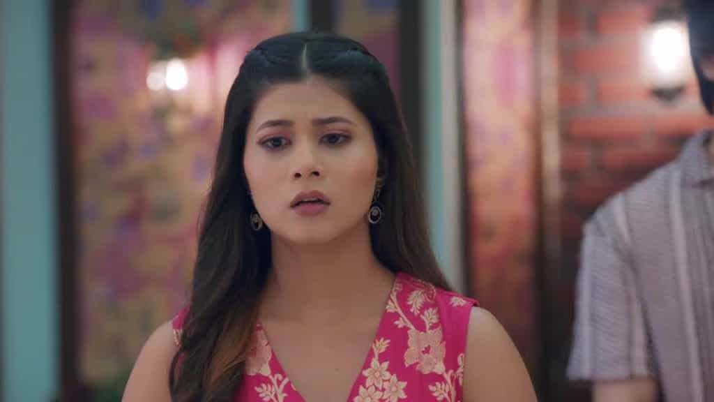Jaane Anjaane Hum Mile - Episode 233