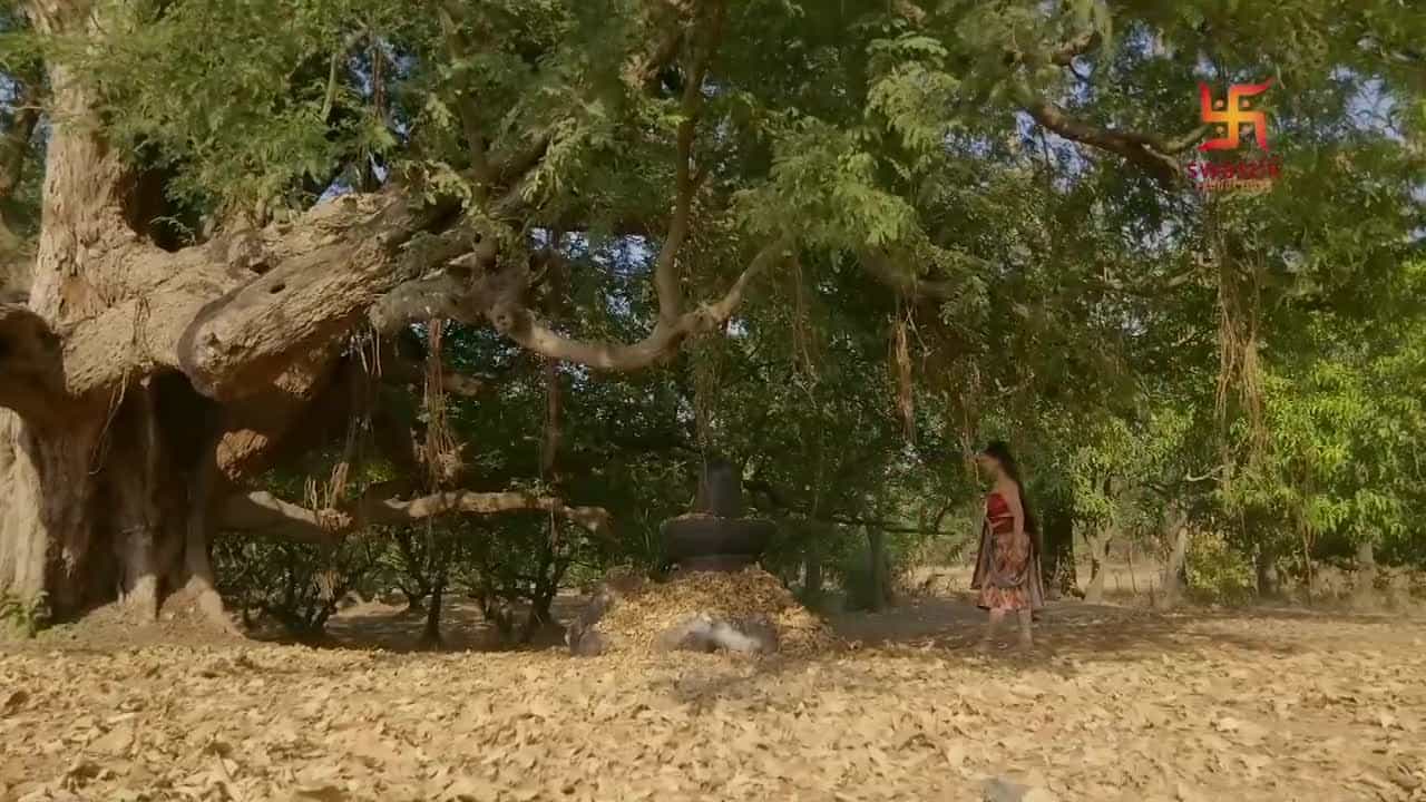 Chandragupta Maurya - Episode 40
