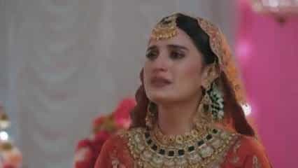 Jaane Anjaane Hum Mile - Episode 362