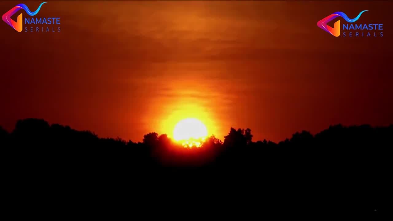 Season 1 Episode 290