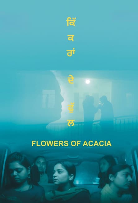 Flowers of Acacia