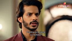 Season 6 Episode 133