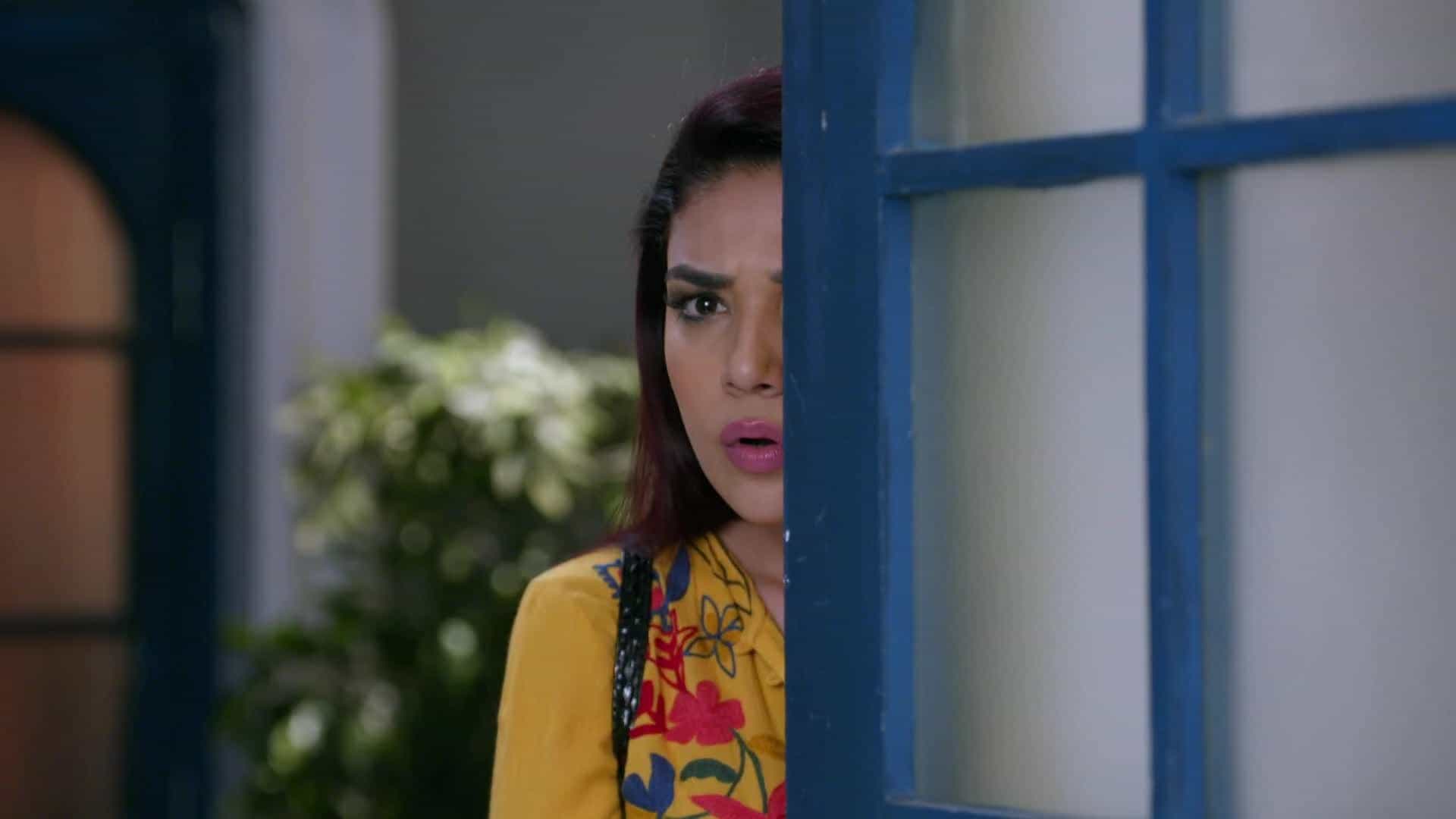 Kundali Bhagya - Episode 672