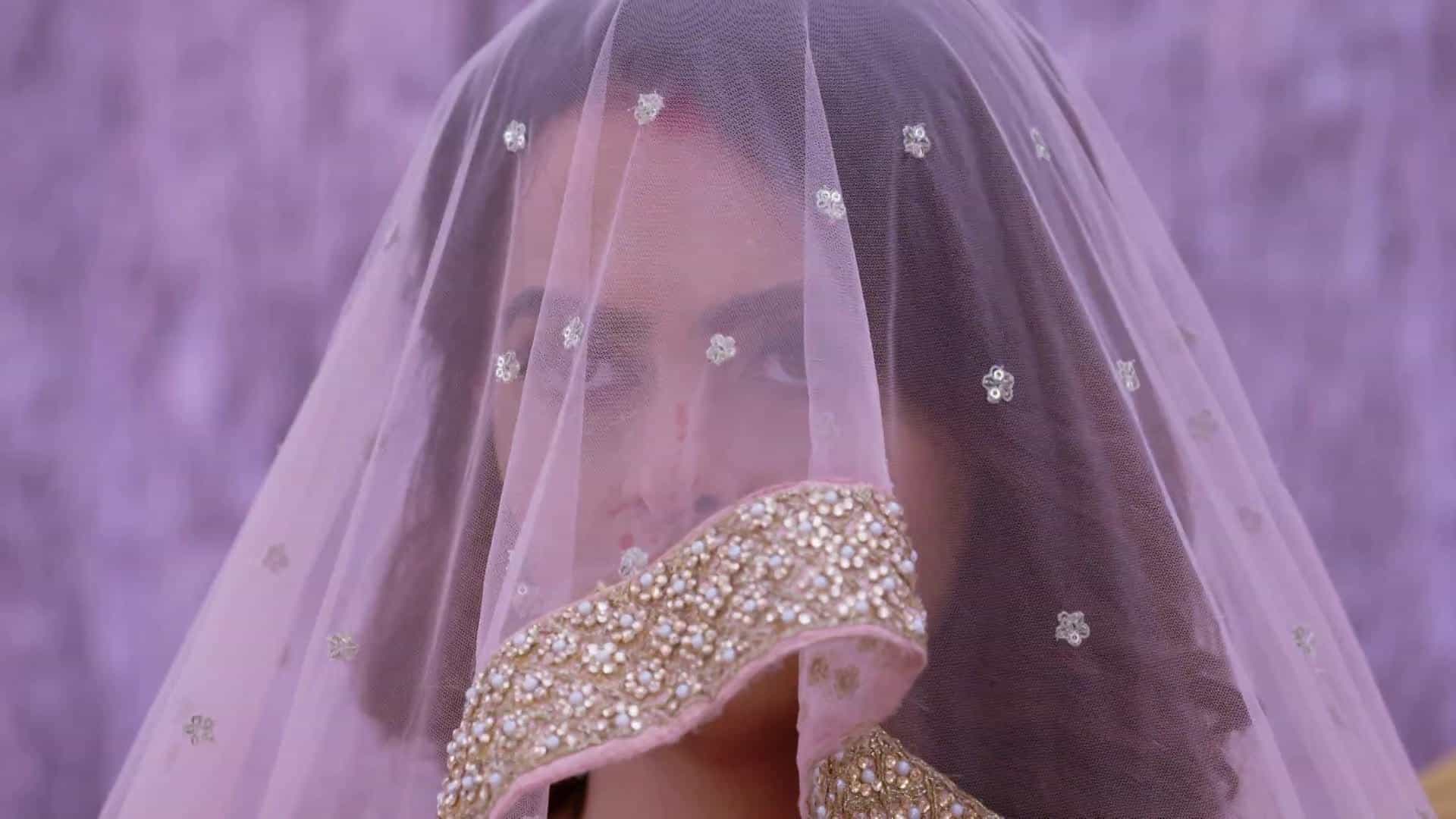 Kundali Bhagya - Episode 513
