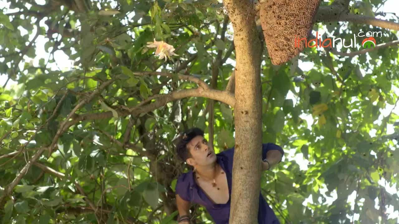 Qurbaan Hua - Episode 350