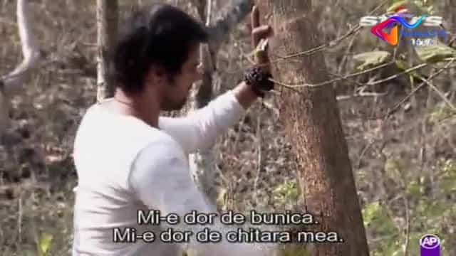 În ritmul dragostei - Episode 242