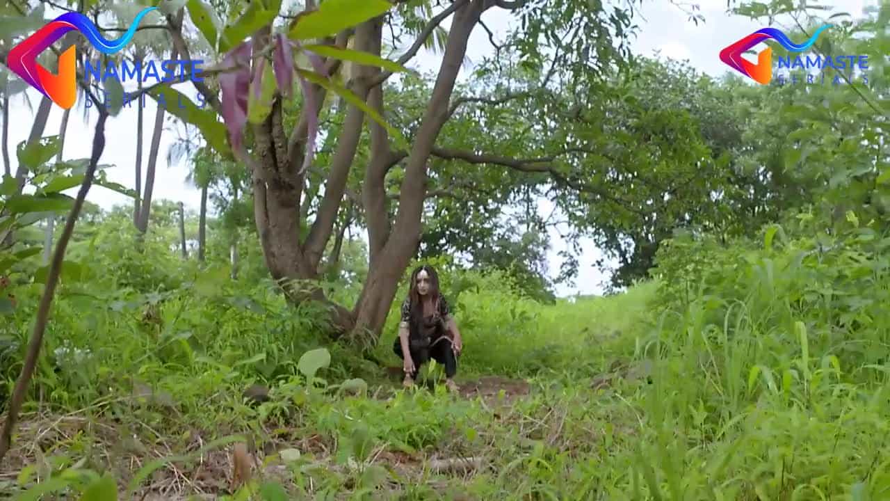 Maitree - Episode 209