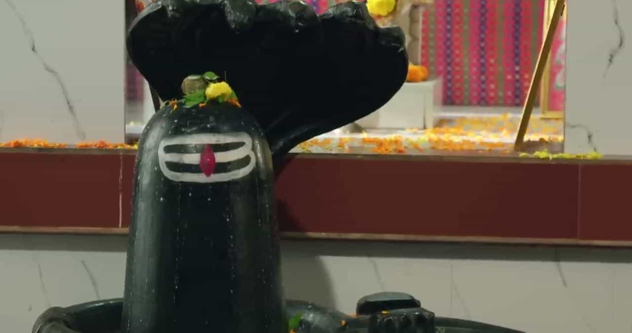 Pati Brahmachari - Episode 378