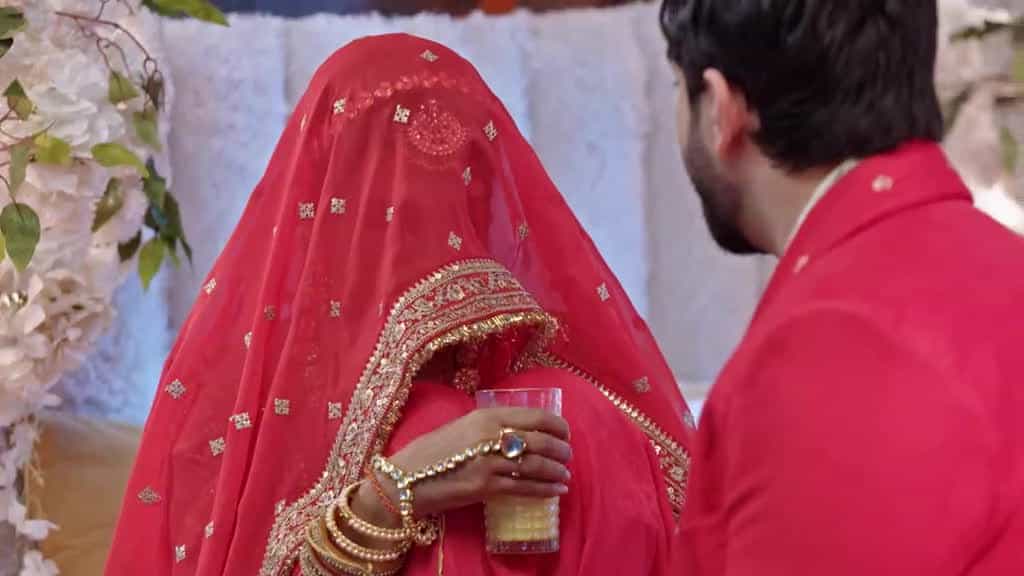 Bhagya Lakshmi - Episode 733