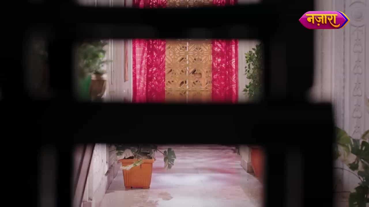 Dahej Daasi - Episode 256