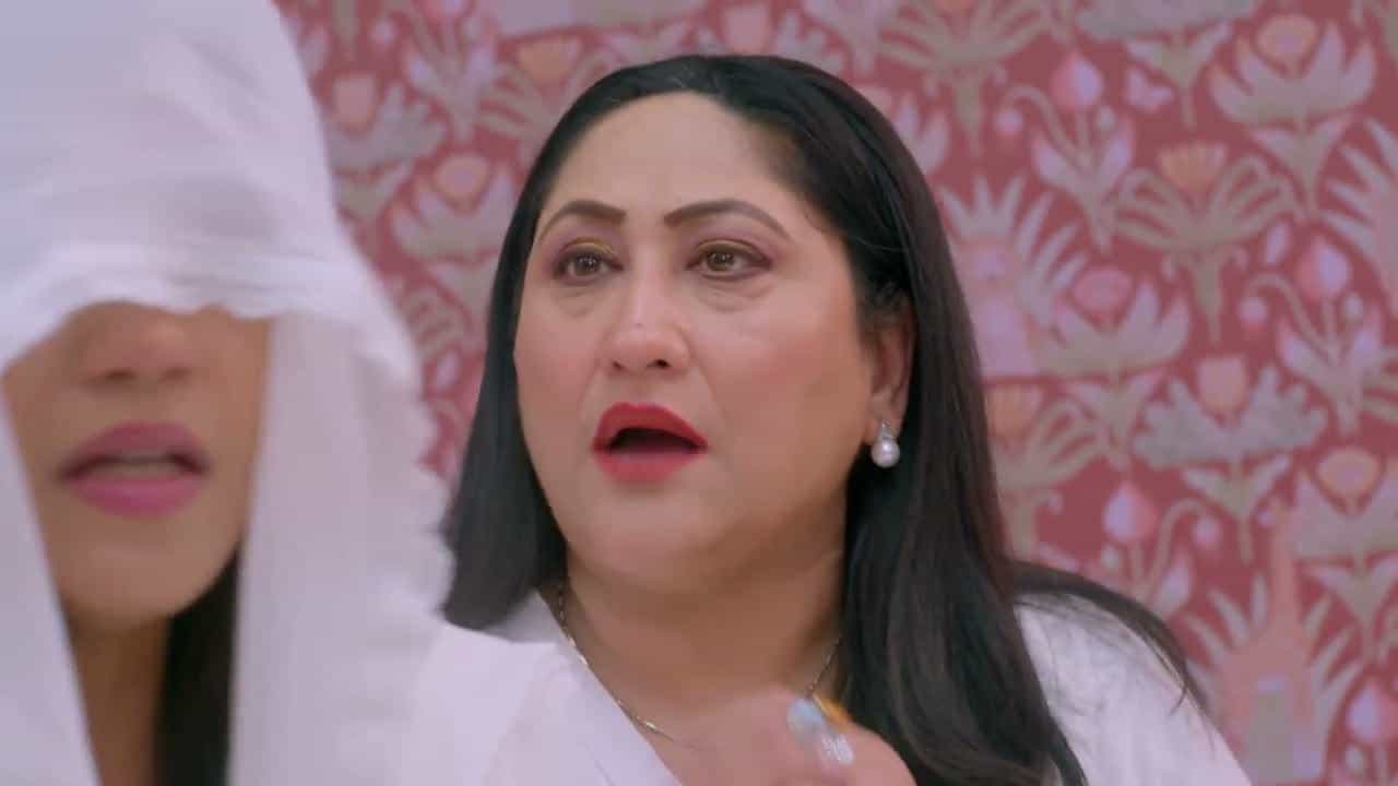 Jaane Anjaane Hum Mile - Episode 477