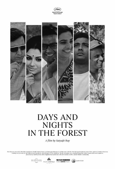 Days and Nights in the Forest