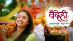 Vaidehi Parinayam - Episode 25