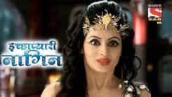 Icchapyaari Naagin - Episode 95