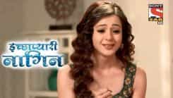 Icchapyaari Naagin - Episode 113