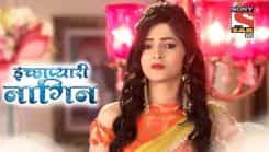 Icchapyaari Naagin - Episode 131