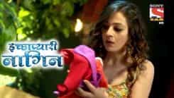 Icchapyaari Naagin - Episode 121