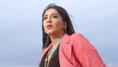 Choti Sarrdaarni - Episode 106