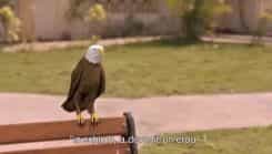 Yehh Jadu Hai Jinn Ka - Season 1 Episode 77