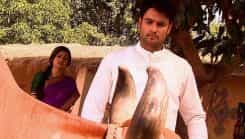 Madhubala - Ek Ishq Ek Junoon - Episode 186