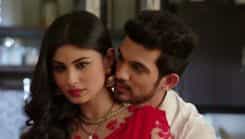 Naagin - Season 1 Episode 19