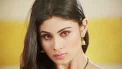 Naagin - Season 1 Episode 24
