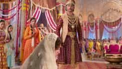 Salim Anarkali - Episode 14