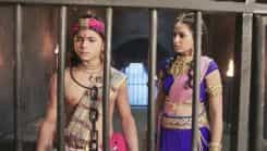 Chakravartin Ashoka Samrat - Episode 204