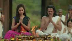 Chakravartin Ashoka Samrat - Episode 230