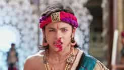 Chakravartin Ashoka Samrat - Episode 325