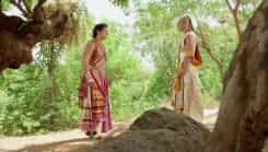 Chakravartin Ashoka Samrat - Episode 344