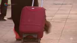 Jamai Raja - Episode 229
