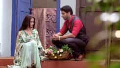 Ishq Ka Rang Safed - Episode 293