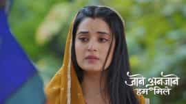 Jaane Anjaane Hum Mile - Episode 274