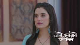 Jaane Anjaane Hum Mile - Episode 262