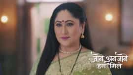 Jaane Anjaane Hum Mile - Episode 291