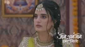 Jaane Anjaane Hum Mile - Episode 258