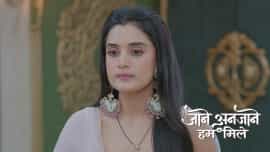Jaane Anjaane Hum Mile - Episode 261