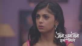 Jaane Anjaane Hum Mile - Episode 286