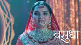 Vasudha - Episode 36